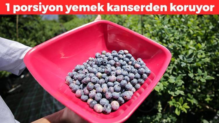 Gördüğünüz yerde satın alın 1 porsiyon yemek kanserden koruyor: Tıkalı kalp damarlarını açıyor, kan şekerini anında dengeliyor