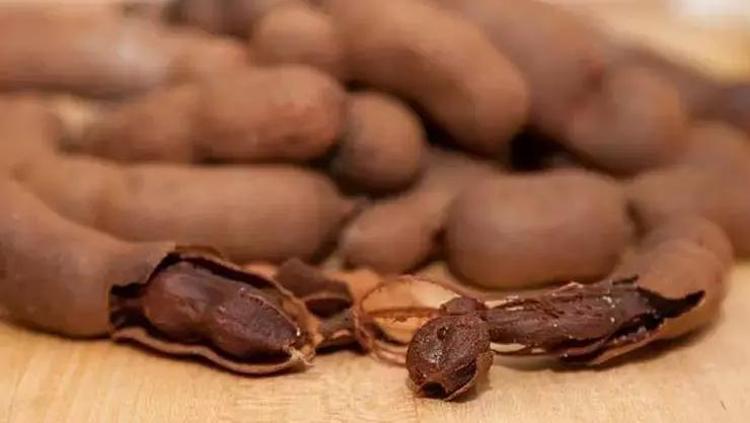 TIKALI BAĞIRSAKLARI BOŞALTMAYA YARDIMCI OLUR