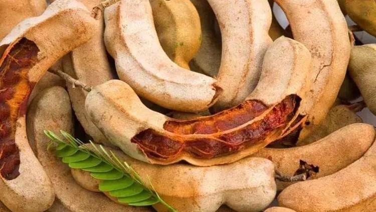 VÜCUTTA DETOKS ETKİSİ GÖSTERİR