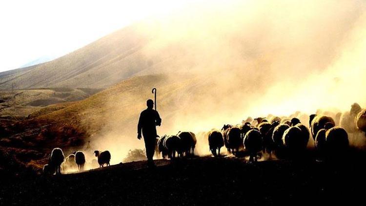 2025 TARIM VE HAYVANCILIK DESTEK PROJESİ BAŞVURUSU | Tarım ve hayvancılık kredisi nasıl alınır Kırsalda Bereket, Hayvancılığa destek başvuruları ne zaman