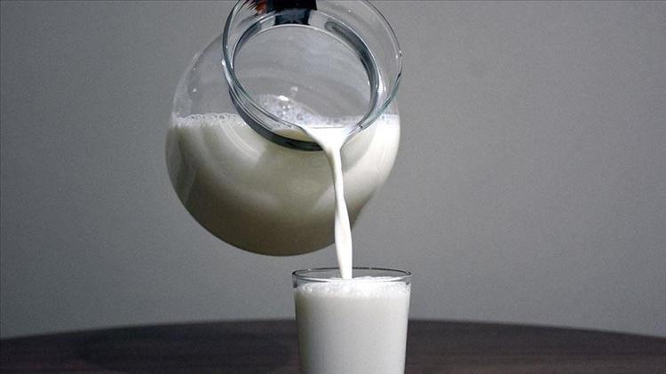 Sütün içine ekleyip bardak bardak için Metabolizmayı fişek gibi yapıp mum gibi eritiyor, bağırsakları motor gibi çalıştırıyor, kolesterolü yere çakıyor