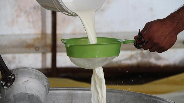 Sütün içine ekleyip bardak bardak için Metabolizmayı fişek gibi yapıp mum gibi eritiyor, bağırsakları motor gibi çalıştırıyor, kolesterolü yere çakıyor