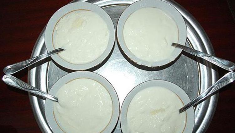 YOĞURT