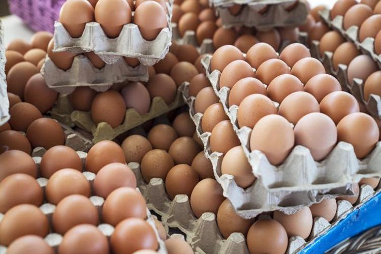 Yumurtaları bakteri yuvasına dönüştürüyor Bu hatayı herkes yapıyor: O yumurtalardan uzak durun