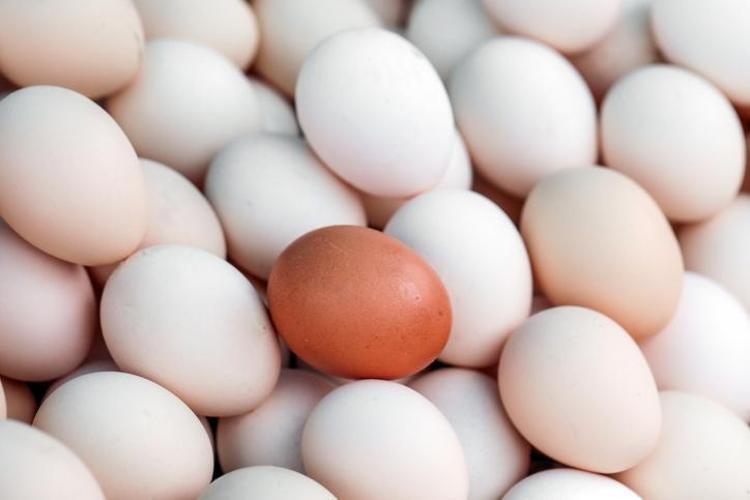 Yumurtaları bakteri yuvasına dönüştürüyor Bu hatayı herkes yapıyor: O yumurtalardan uzak durun