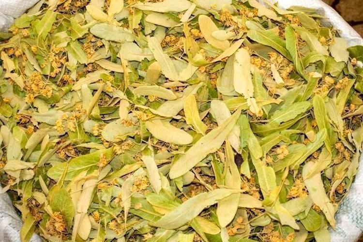 STRESİ VE ANKSİYETEYİ AZALTIR