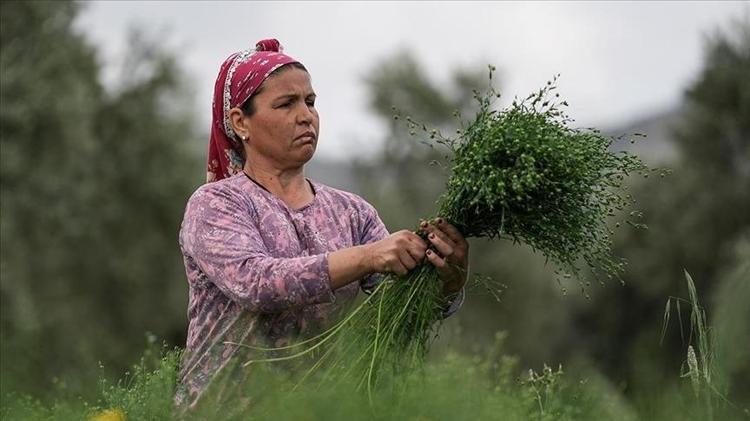 CİLT SAĞLIĞINI DESTEKLER