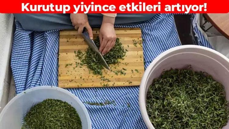 1 kaşığı vücudu resetliyor Yazın kurutup kışın yiyin: Sivaslılar ondan vazgeçemiyor
