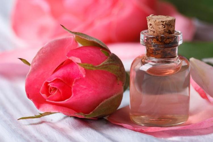 1. GÜL YAĞI İLE GÜL SUYU HAZIRLAMAK