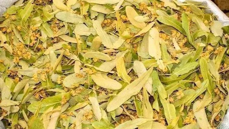 SOĞUK ALGINLIĞINA BİRE BİR: IHLAMUR ÇAYI
