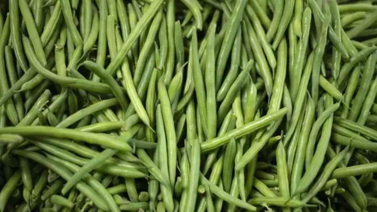 SİNDİRİM SİSTEMİNİ DÜZENLER