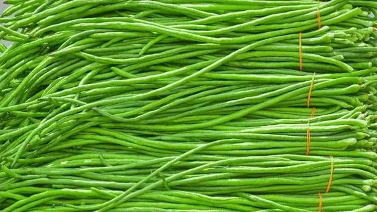 BAĞIŞIKLIK SİSTEMİNİ GÜÇLENDİRİR