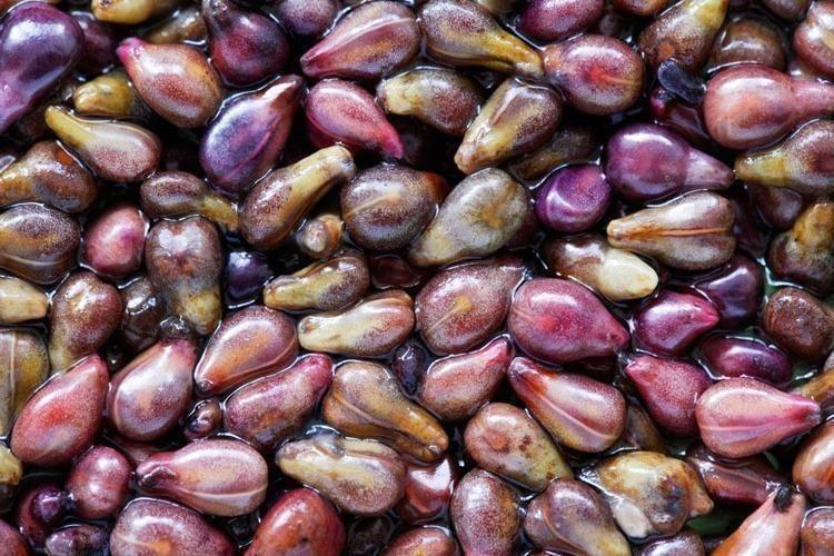 1 damlası tek gecede 10 yaş gençleştiriyor Egzama, mantar ve sedefin kökünü kazıyor, cilde içten kolajen yüklüyor Hassas ciltlere de uyumlu