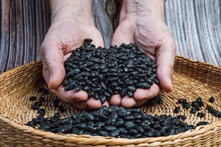 Türkiyede kıymeti bilinmiyor: 7 bin yıldır Amerikada kullanılıyor: Kalsiyumda yumurta ve sütü sollayan tek besin