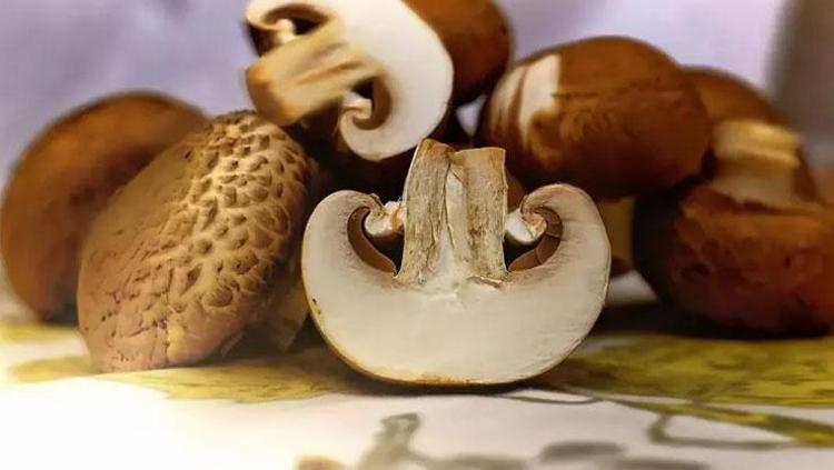 MANTARLAR: DOĞAL D VİTAMİNİ KAYNAĞI