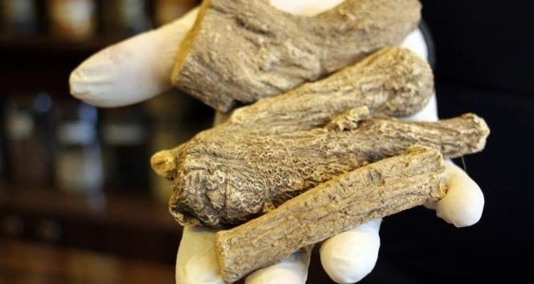 ZİHİNSEL SAĞLIK VE STRESLE MÜCADELE