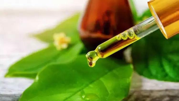 Avustralya’da bir numara Saç dökülmesini ve kepeği tarihe gömüyor: Akne tedavisinin doğal ilacı, anti-inflamatuar etkisi iltihabı kurutuyor
