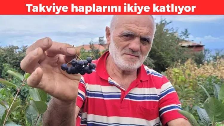 Doğal antioksidan ilacı Takviye haplarını sollayan meyve: Damar sertleşmesini önlüyor, cildi parıl parıl parlatıyor