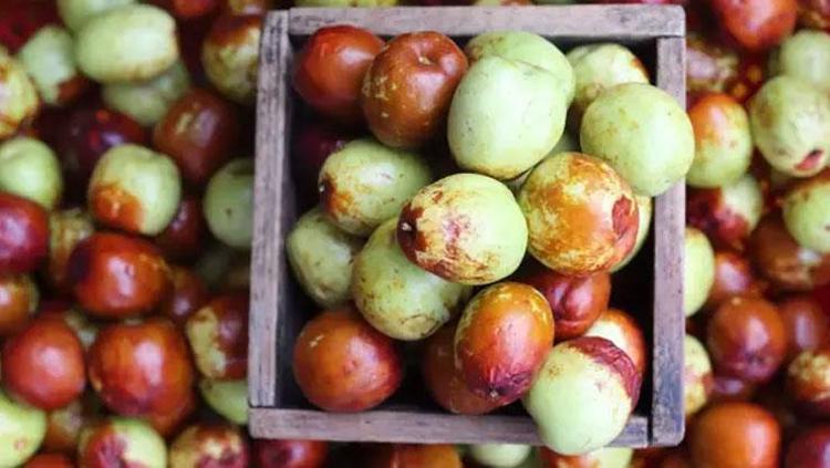 “Ziziphus jujuba” olarak biliniyor Vücudunuza enerji yüklemesi yapıyor: Metabolizma hızını artırır, potasyum, magnezyum ve lif deposu