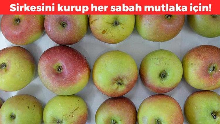Sabahları aç karnına 1 yemek kaşığı için Sirkesini kurar gibi kurunca etkisi 5 kat artıyor: Bel, basen ve göbeği mum gibi eritiyor