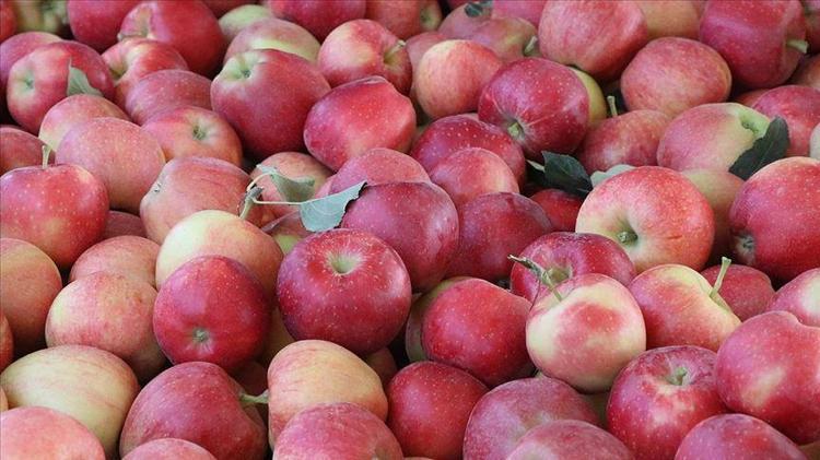 Sabahları aç karnına 1 yemek kaşığı için Sirkesini kurar gibi kurunca etkisi 5 kat artıyor: Bel, basen ve göbeği mum gibi eritiyor