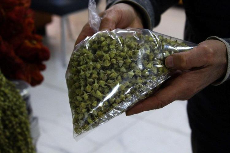 Doğada yetişen çeyrek altın 100 gramıyla 4 kişilik aile doyuyor: Besin değeri etten daha yüksek, bağırsakları çok hızlı çalıştırıyor