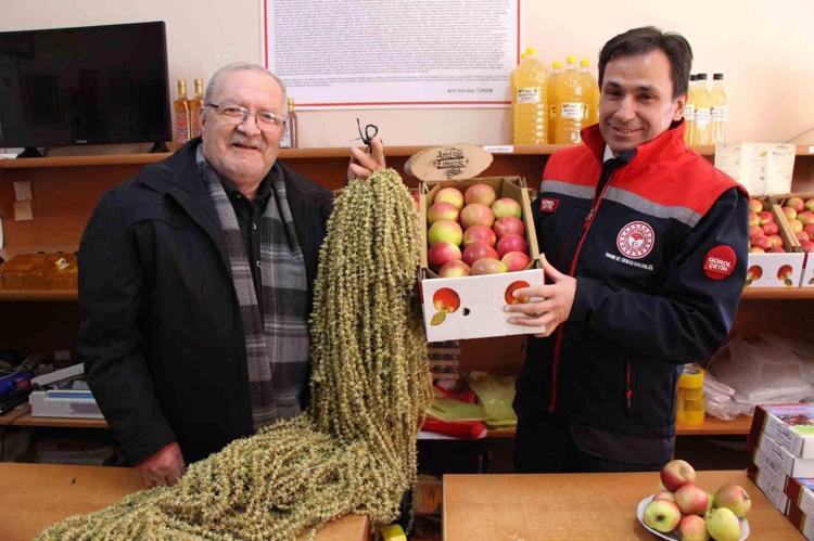 Doğada yetişen çeyrek altın 100 gramıyla 4 kişilik aile doyuyor: Besin değeri etten daha yüksek, bağırsakları çok hızlı çalıştırıyor