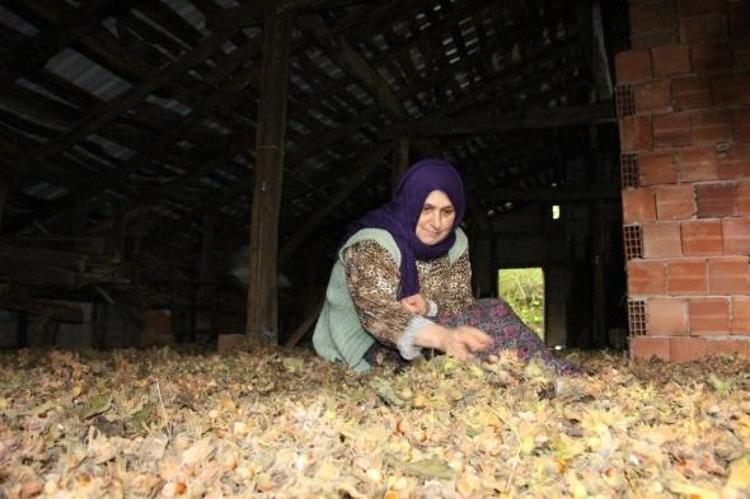 Fındık faydaları şunlardır: