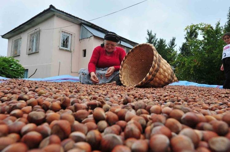 Düzceden AB ülkelerine ihraç ediliyor Doğadaki en güçlü magnezyum kaynağı, kemikleri beton gibi güçlendirip kalp krizinden koruyor