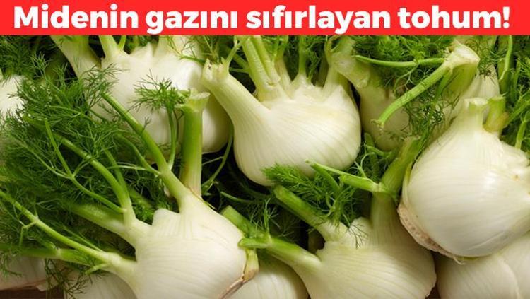 Mide gazını sıfırlıyor Şişkinliği ve mide yanmasını yok ediyor: Hazımsızlığın kökünü kurutan tohum
