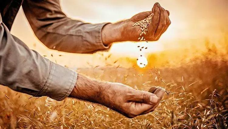 MAZOT GÜBRE DESTEĞİ NE ZAMAN YATACAK 2025 Mazot gübre desteği ödemeleri yattı mı, ödendi mi Bakan Yumaklı yeni rakamları açıkladı