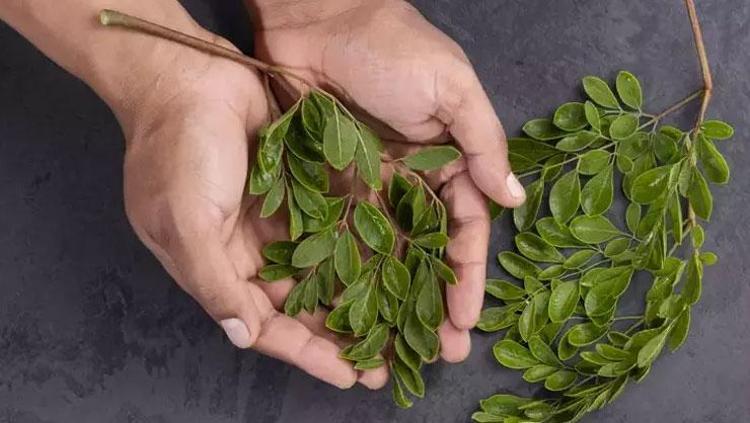 BAĞIŞIKLIK SİSTEMİNE DESTEK