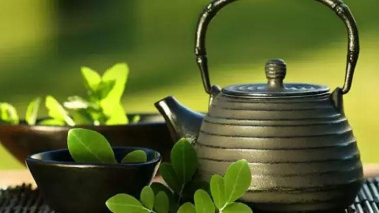 MORİNGA ÇAYI TARİFİ