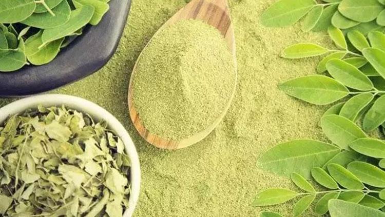 SİNDİRİM SİSTEMİNE YARDIMCI