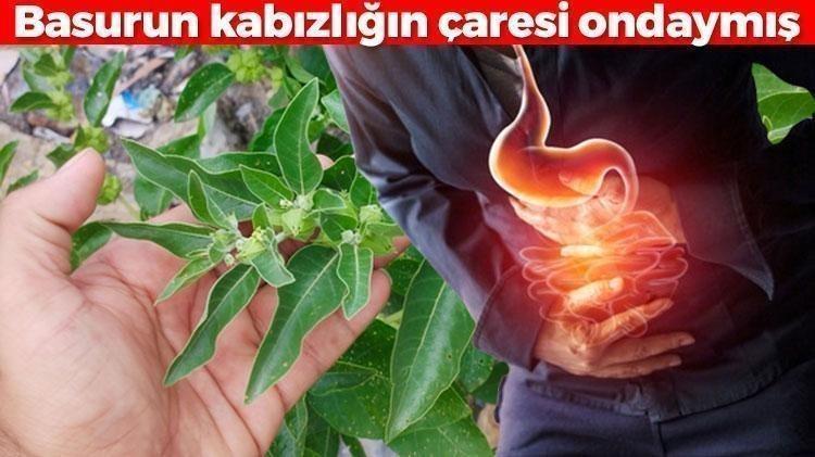 Mardinde asırlardır kullanılıyor Basurun ve kabızlığın çaresi onda: Sabah aç karnına 1 çay kaşığı tüketmek yetiyor