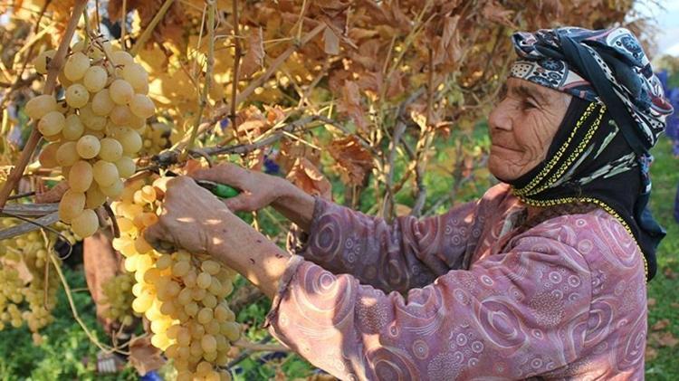 Pekmeze rakip çıktı Demir depolarını saniyesinde dolduruyor: 1 kaşık yiyen 10 yıl hastalanmıyor