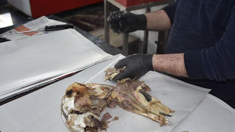 Herkes burun kıvırıyor Sivasta kuyruk oluyor 250 ile 300 TLden satılıyor: Geceden fırınlanıyor iftarda tüketiliyor