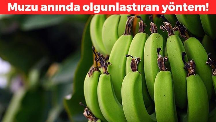 Muzu hemen olgunlaştırıyor Yanına 1 tane koymak yeterli