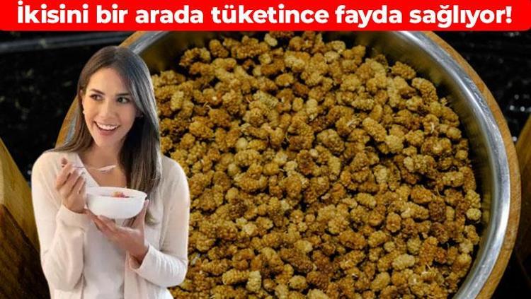 Yoğurtla karıştırıp yiyin Bağırsakları makine gibi çalıştırıyor: Kan şekerini anında dengeliyor