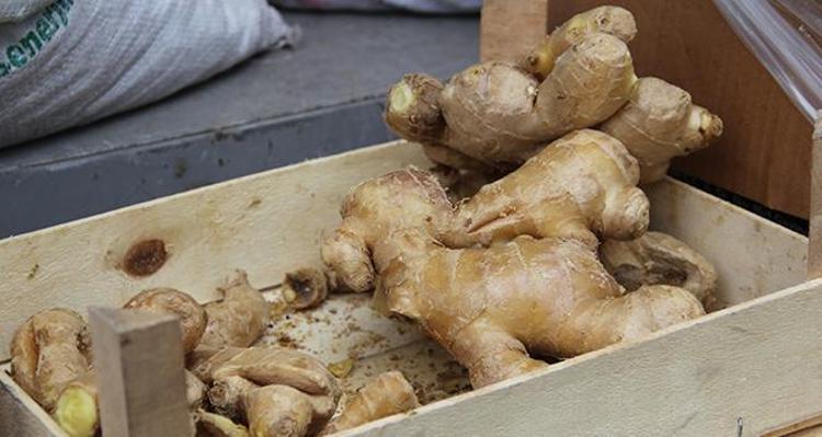 BAĞIRSAKLARI ÇALIŞTIRAN KARIŞIMIN FAYDALARI NELERDİR