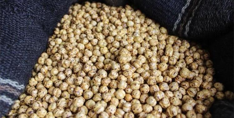 Kalbi zırh gibi koruyor Bitkisel protein kaynağı: 1 avuç yiyince şifa dağıtan tek besin