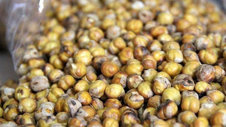 Kalbi zırh gibi koruyor Bitkisel protein kaynağı: 1 avuç yiyince şifa dağıtan tek besin