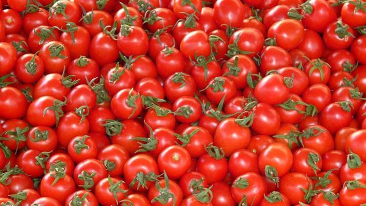 ORGANİK DOMATESLERİN AVANTAJI