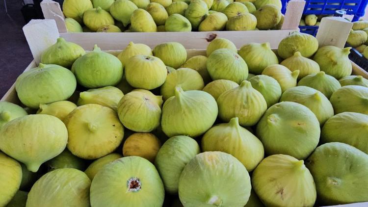İncirin üstüne ekleyince böbrekleri temizliyor Karaciğer, böbrek ve bağırsakları toksinlerinden arındıran karışım: 2 hafta boyunca için