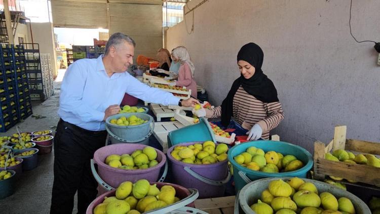 İncirin üstüne ekleyince böbrekleri temizliyor Karaciğer, böbrek ve bağırsakları toksinlerinden arındıran karışım: 2 hafta boyunca için