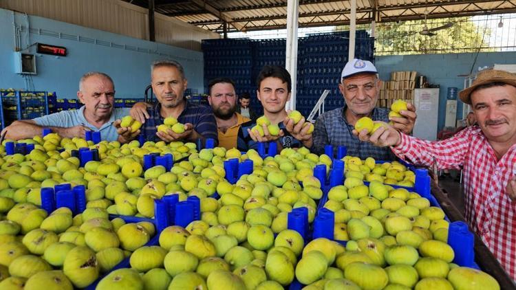 İncirin üstüne ekleyince böbrekleri temizliyor Karaciğer, böbrek ve bağırsakları toksinlerinden arındıran karışım: 2 hafta boyunca için