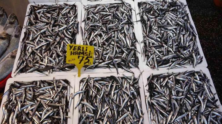 Ramazan gelince balık satışları yarı yarıya düştü Kırmızı ete olan talep arttı: Tiroid fonksiyonlarını düzenleyip iyot eksikliğini gideriyor