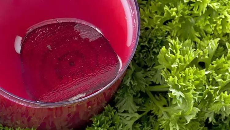Portakaldan 20 kat fazla C vitamini içeriyor Doğadaki en güçlü mikrop öldürücüymüş: Günde bir bardak içmek yeterli