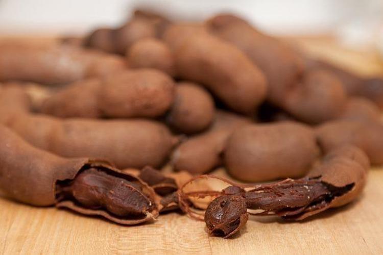 TIKALI BAĞIRSAKLARI BOŞALTMAYA YARDIMCI OLUR