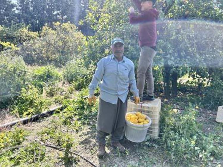 CİLT SAĞLIĞINI İYİLEŞTİRİR